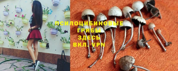 героин Абаза